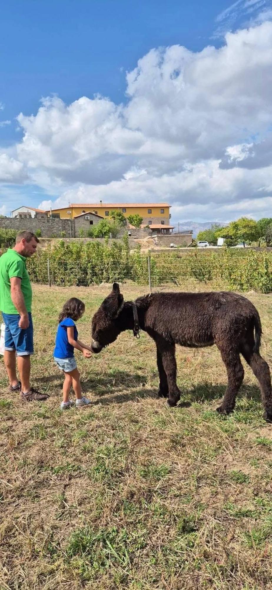 Quinta Do Limite - Casa Do Campones Βίλα Covilhã Εξωτερικό φωτογραφία